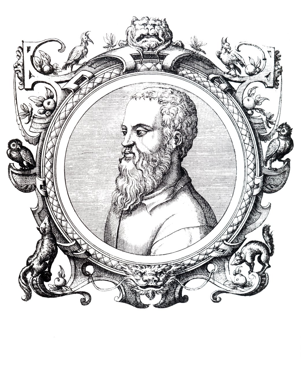 Guillaume Rondelet. tekijältä Unbekannt