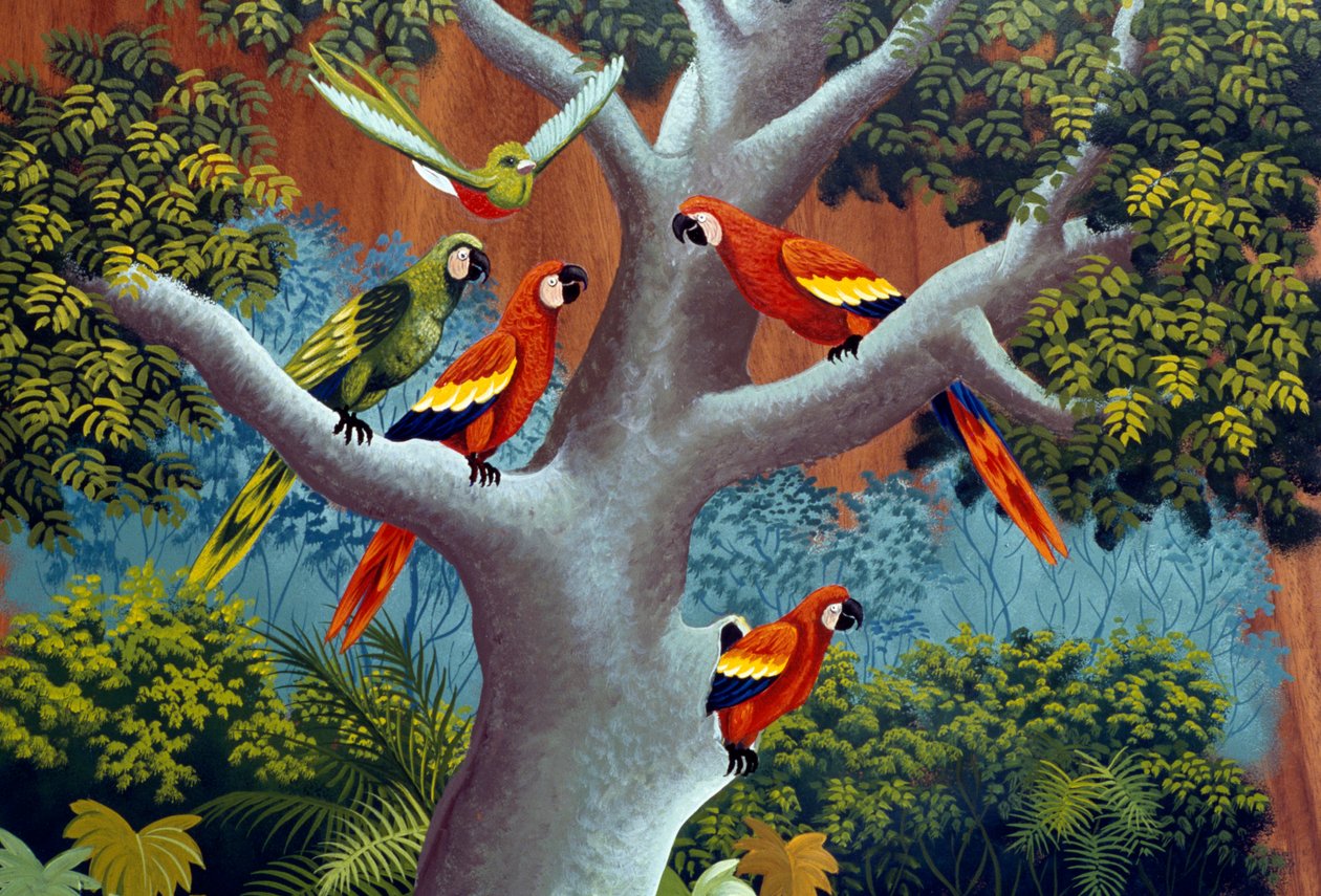 Käsinmaalattu perinteinen vaunu, Sarchi, Costa Rica, Detail tekijältä William M. Timlin