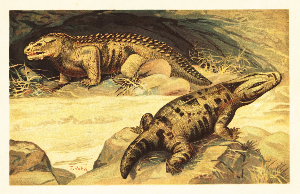 Mastodonsaurus ja Pareiasaurus.1908 (litografia) tekijältä Unbekannter Künstler