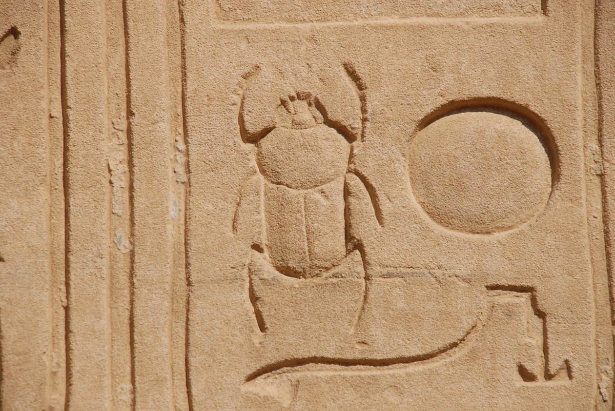 Scarab Beetle, Karnak, Luxor, Egypti (kuva) tekijältä Unbekannt