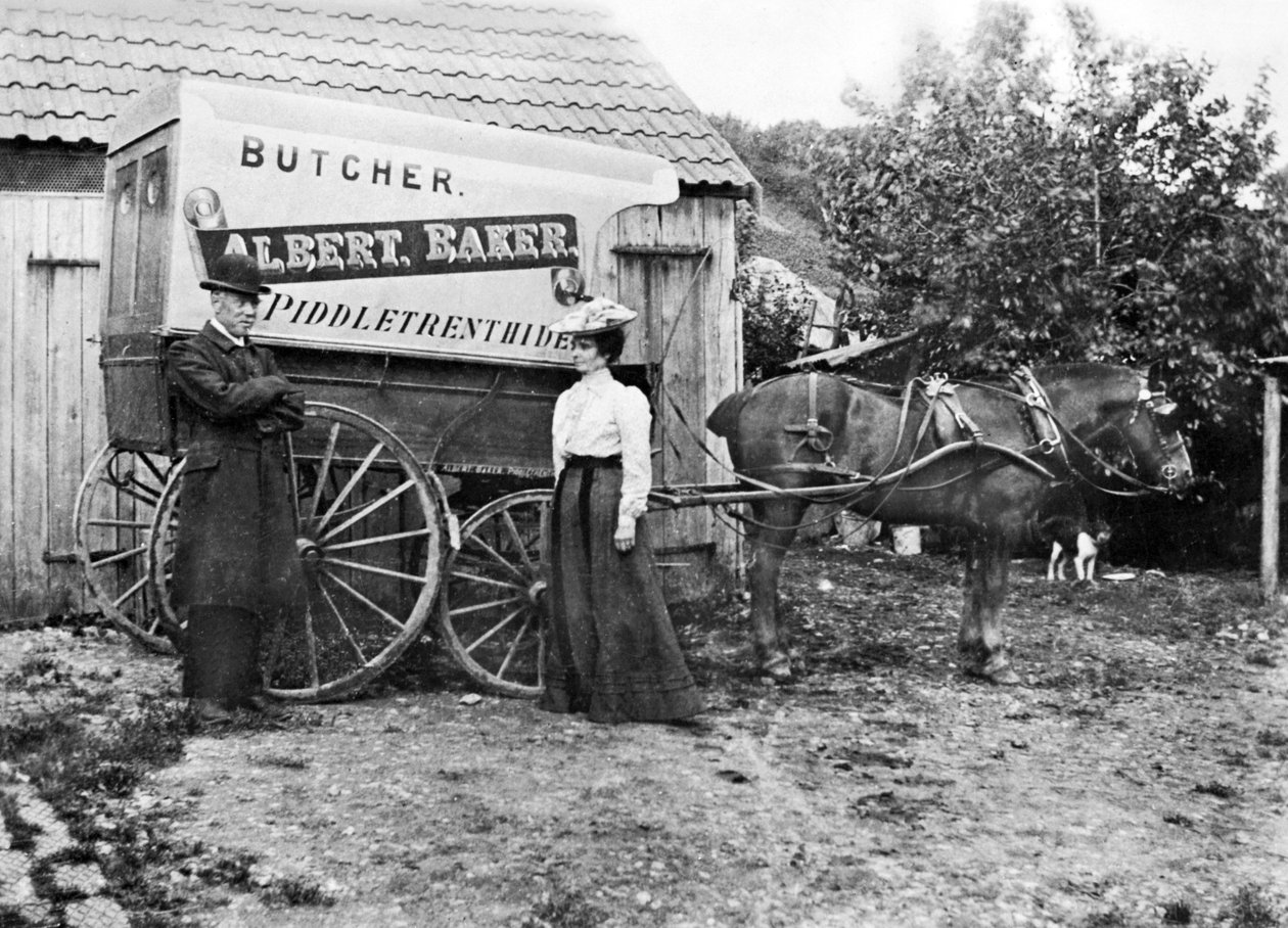 Iso-Britannia: Teurastajan kärry. Piddletrenthide, c1900 tekijältä Unbekannt