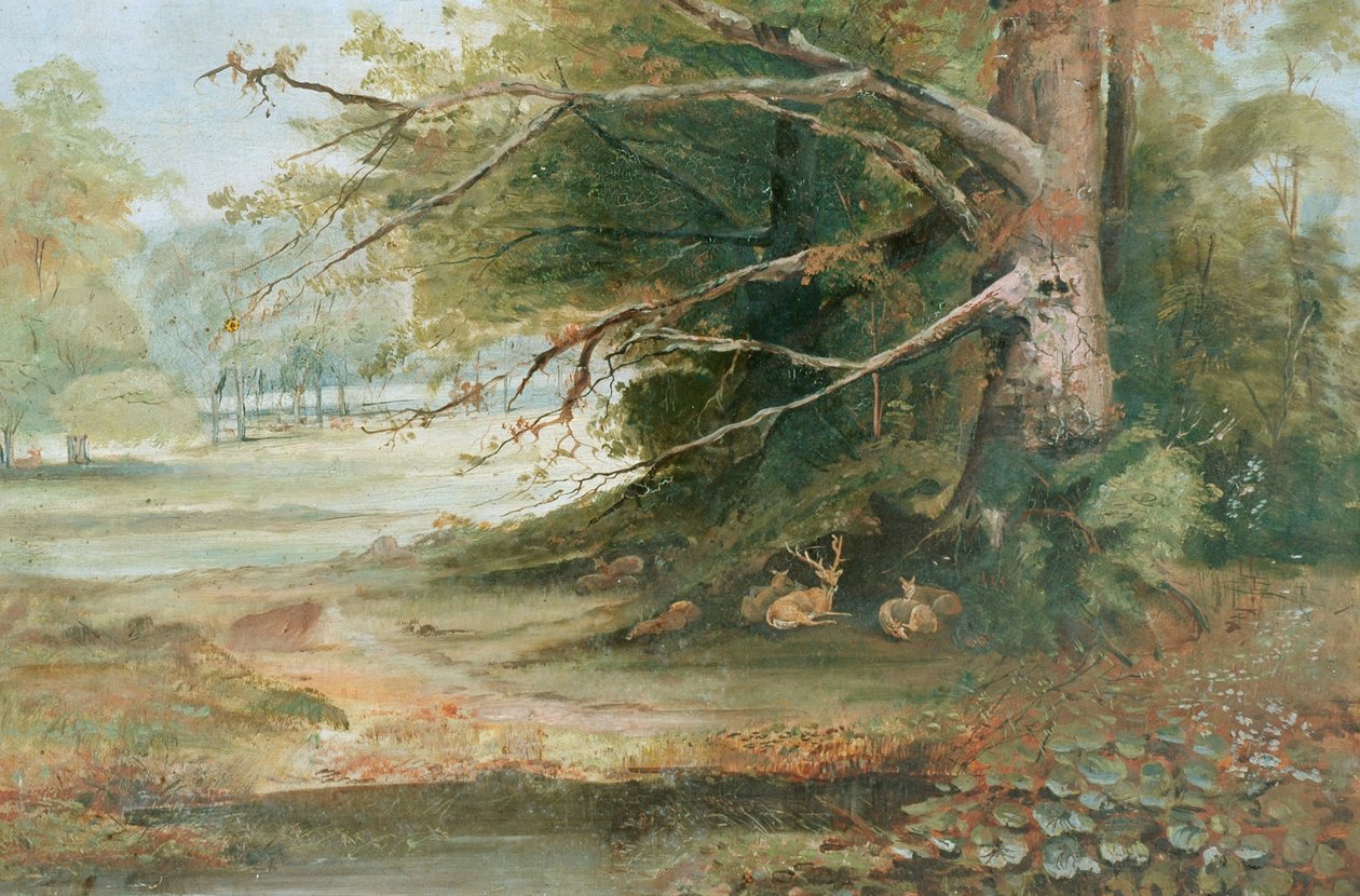Hirvi metsäluikolla tekijältä Unknown