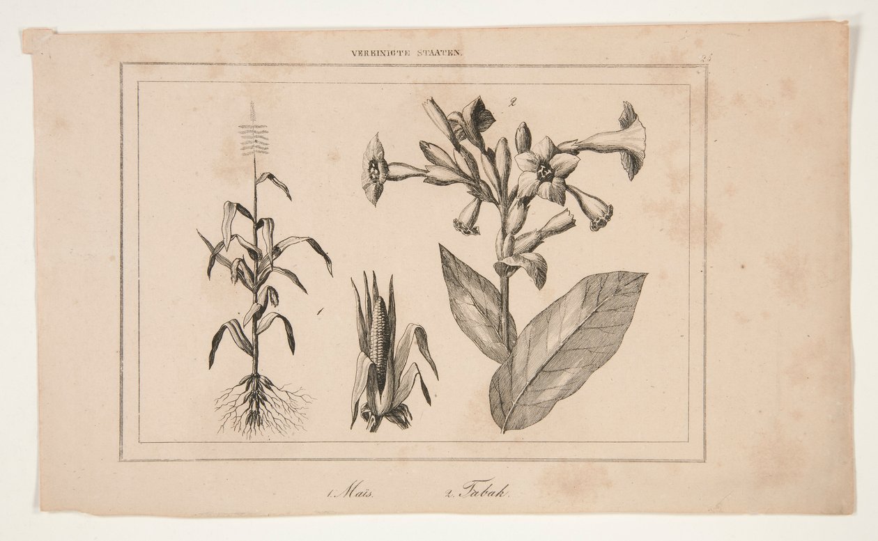 Nimetön (Study of American Agriculture) tekijältä Unknown