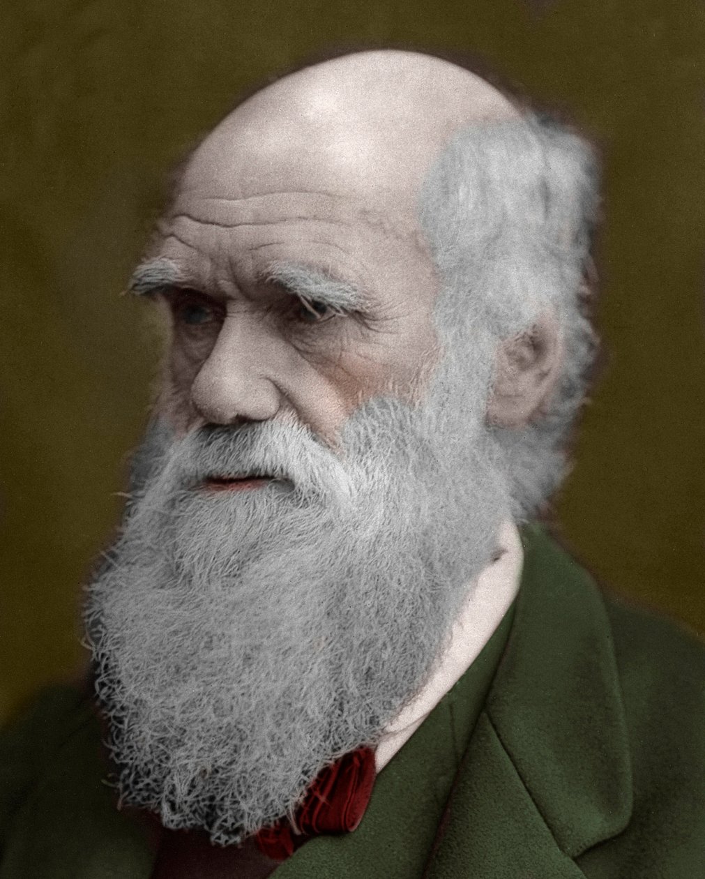 Charles Darwinin muotokuva tekijältä Unknown artist