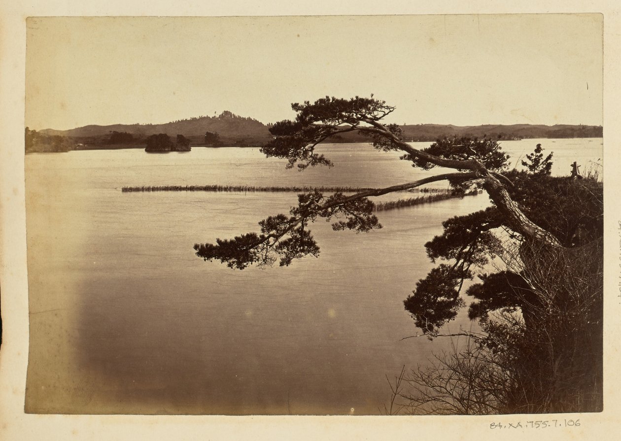 [Maisema järvellä ja puilla] tekijältä Unknown artist