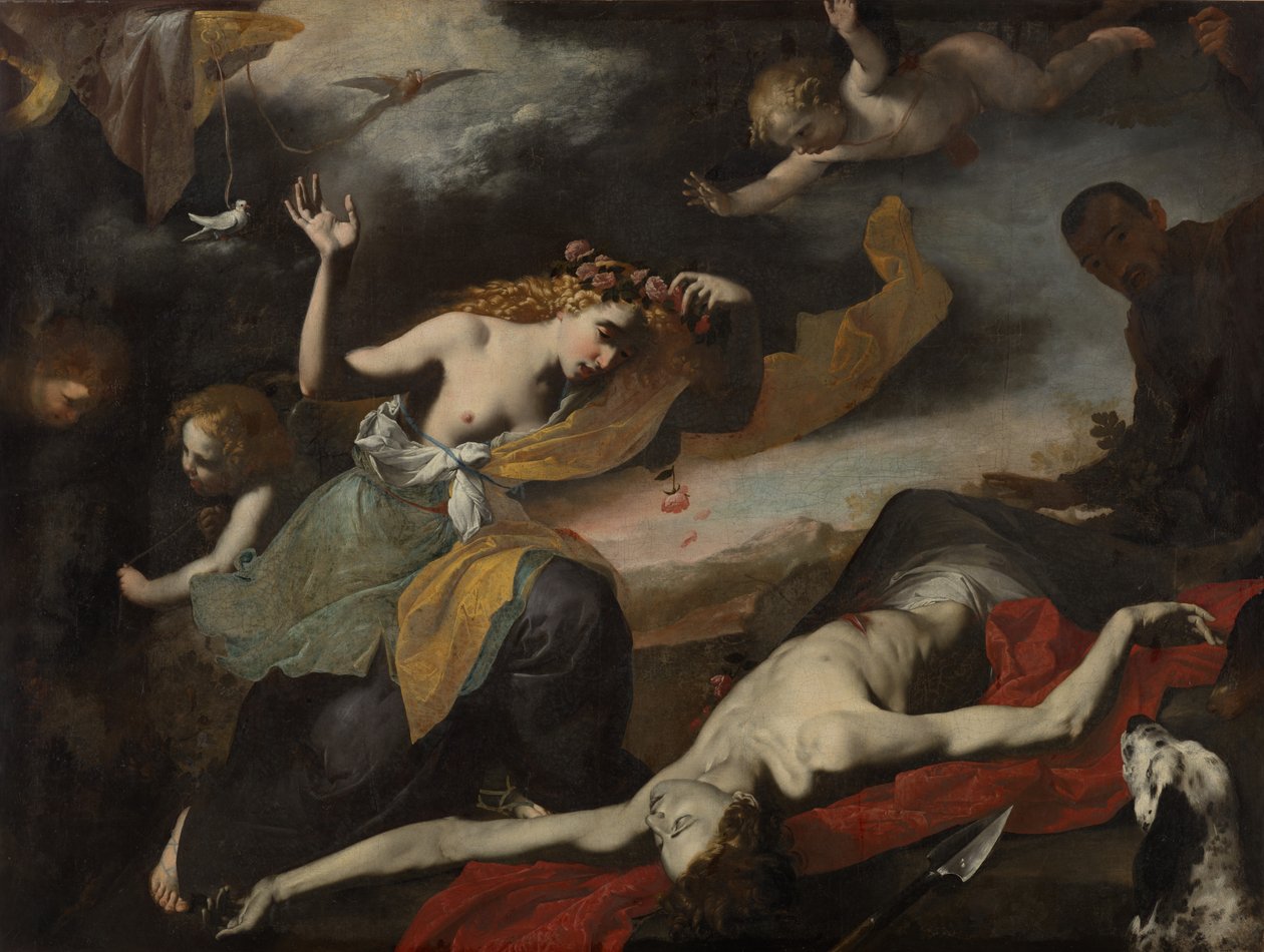 Venus löytää kuolleet Adonis tekijältä Unknown artist