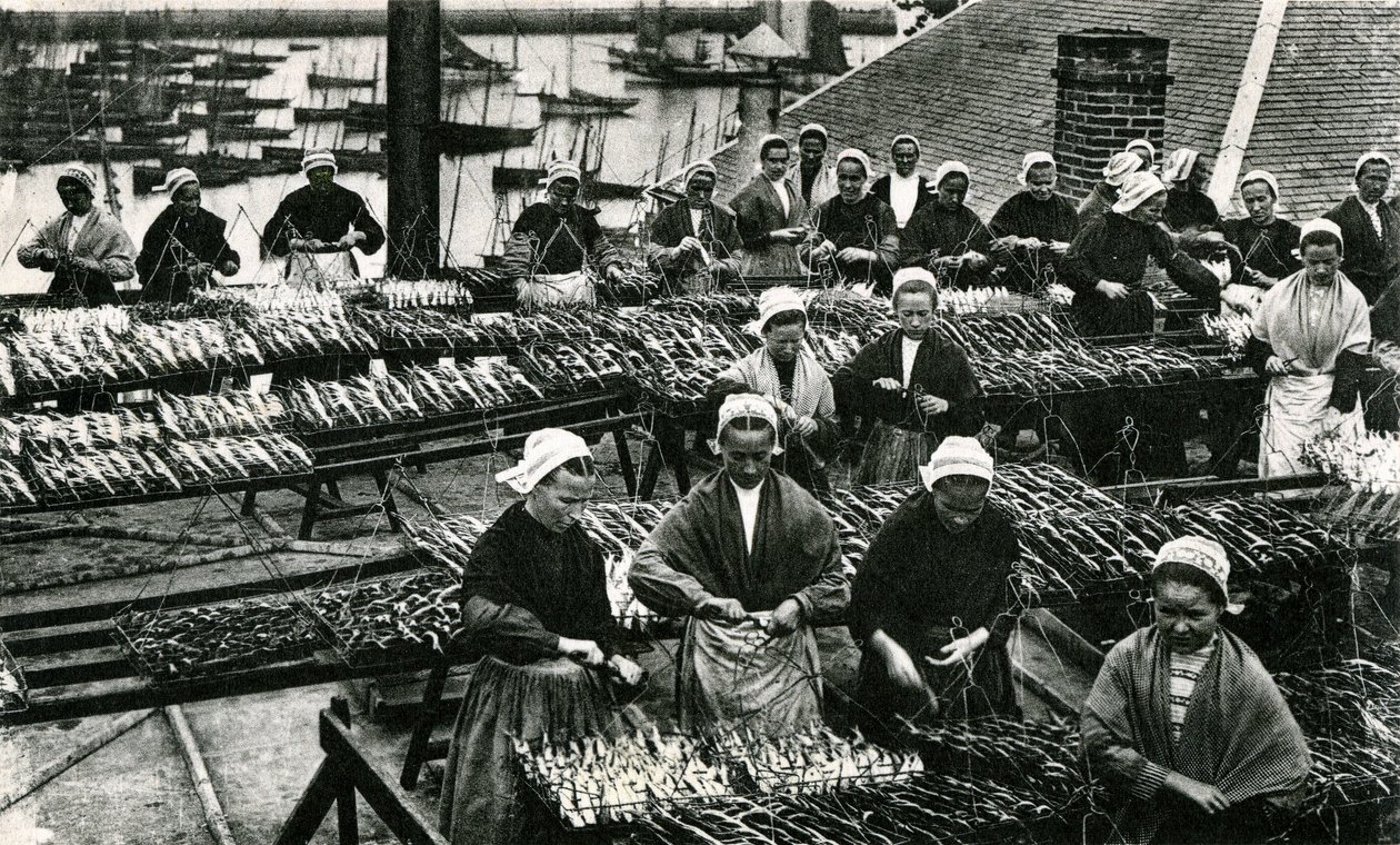 Sardiiniteollisuus, Finistère, Britttany (s/w-kuva) tekijältä Unknown photographer
