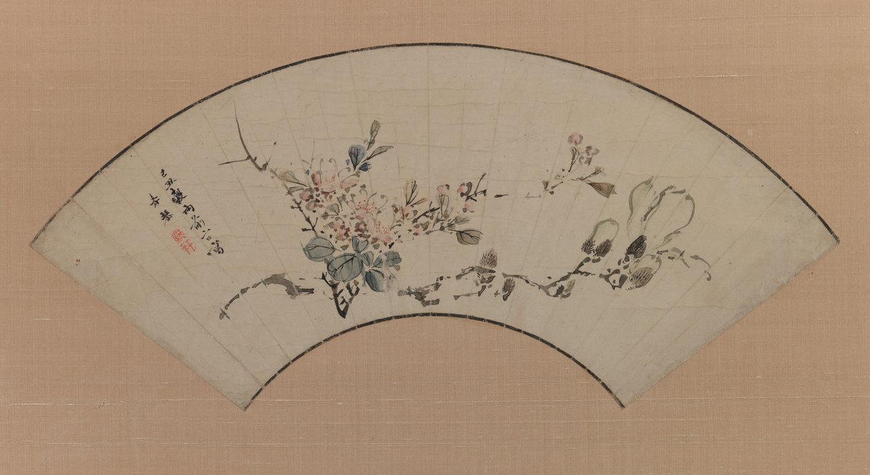 Cherry Blossoms and Manolia, 1829 (muste ja vaalea väri paperille) tekijältä Uragami Shunkin