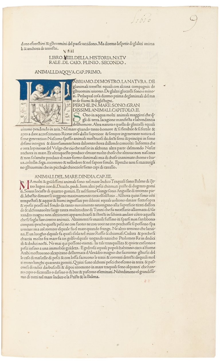 Plinius vanhemman "Historia Naturalis". tekijältä Venetian School