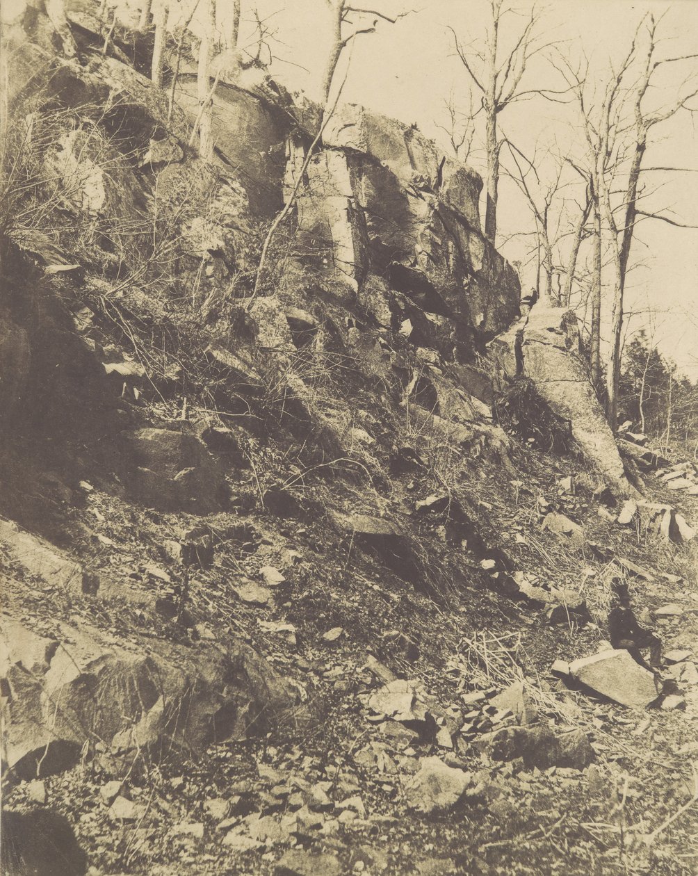 [Rocky Hillside], 1850-luku. tekijältä Victor Prevost