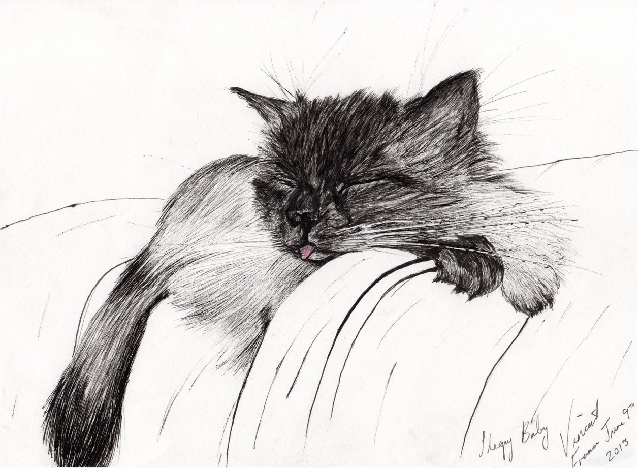 Sleepy Baby, 2013, (muste paperille) tekijältä Vincent Alexander Booth