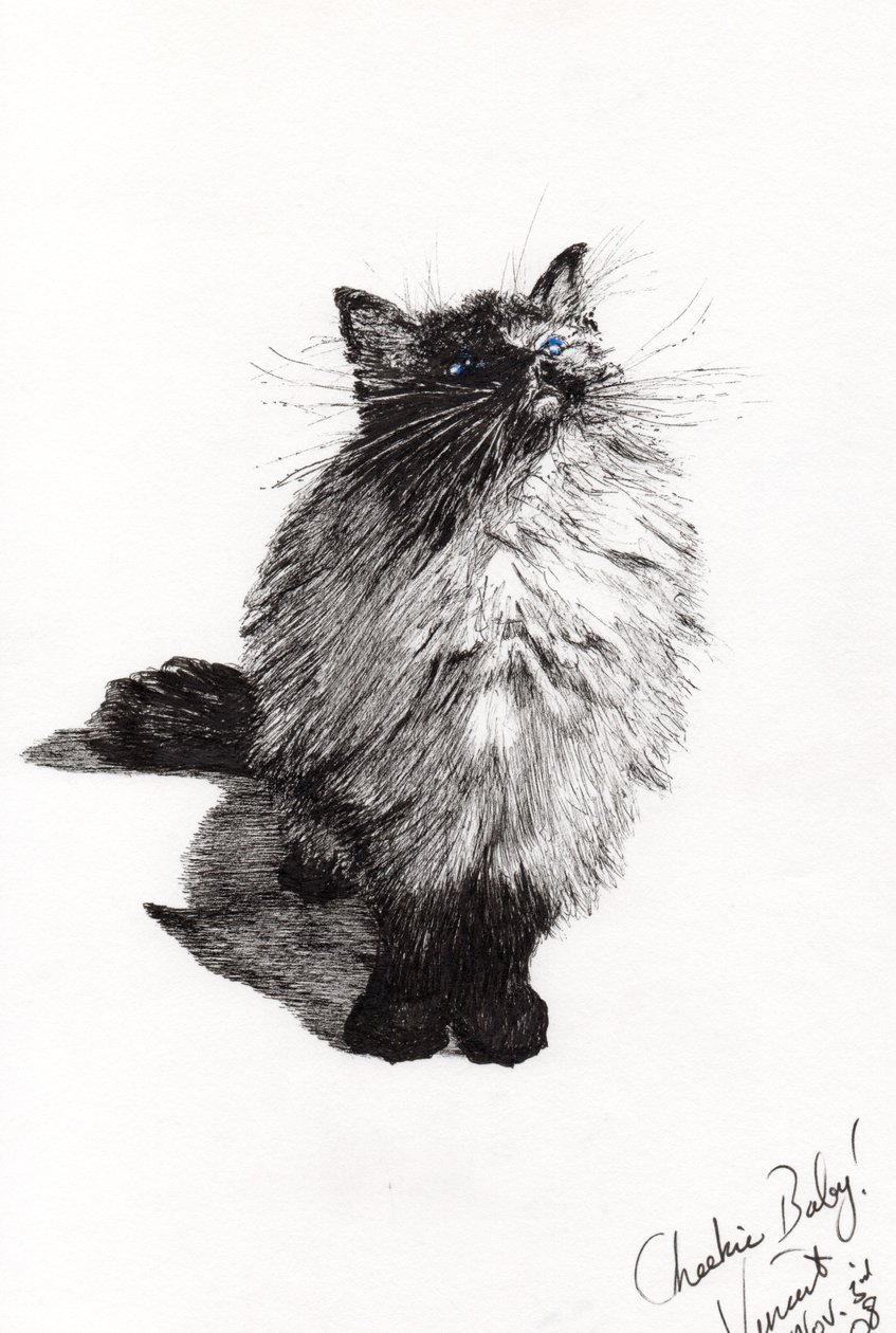 cheekie baby, 2008, (muste paperille) tekijältä Vincent Alexander Booth