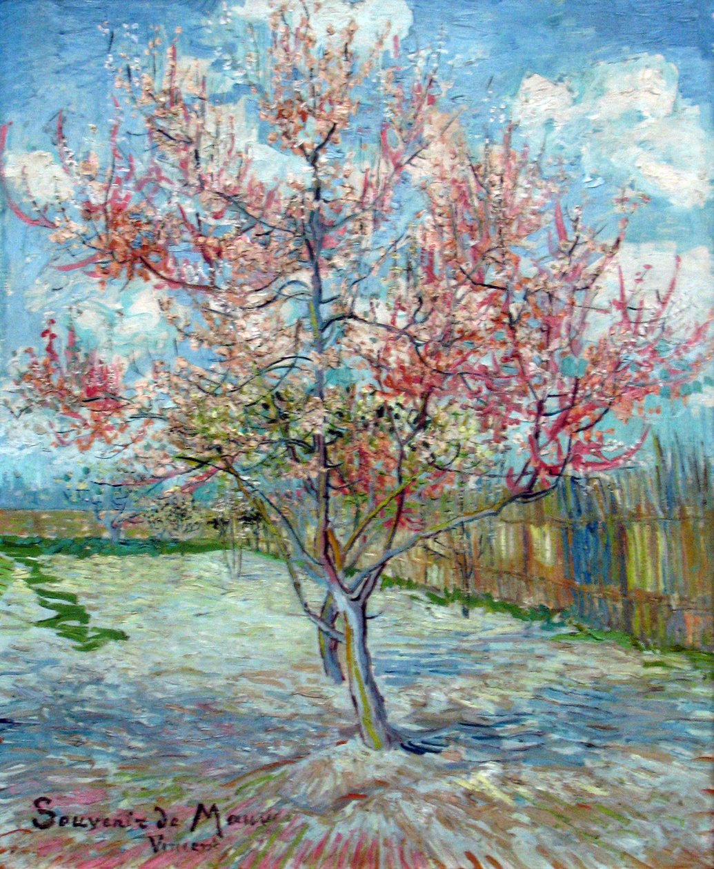 Rosa Pfirsichbäume (Souvenir de Mauve) tekijältä Vincent van Gogh