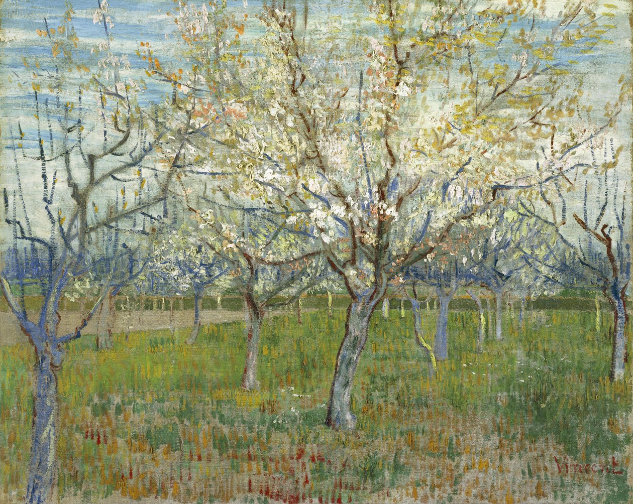 Vaaleanpunainen hedelmätarha tekijältä Vincent van Gogh