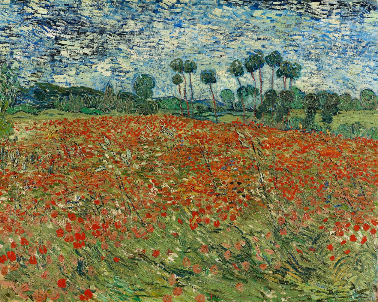 Unikkopelto, Auvers-sur-Oise, 1890 tekijältä Vincent van Gogh