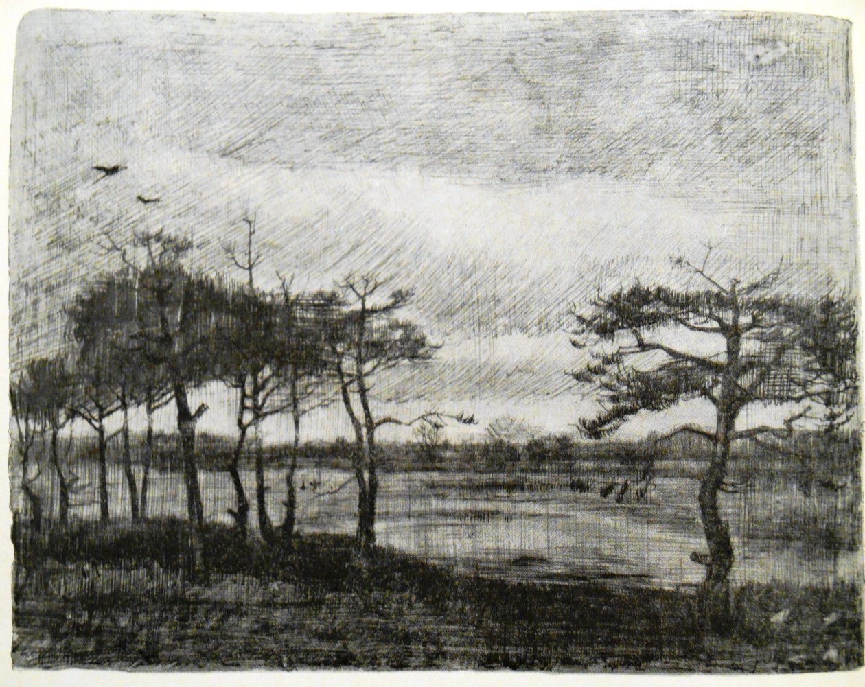 Kuuset suolla tekijältä Vincent van Gogh
