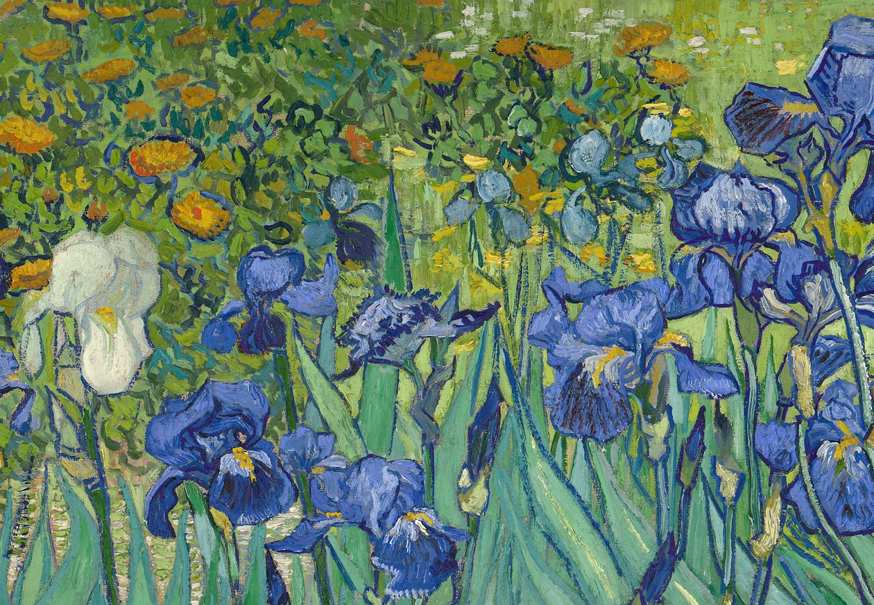 Irises, 1889 (yksityiskohta numerosta 40070) tekijältä Vincent van Gogh