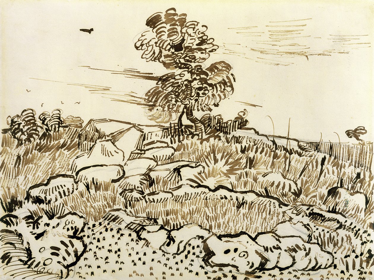 Rocky Ground at Montmajour, 1888-89 (kynä, ruoko ja muste paperille) tekijältä Vincent van Gogh