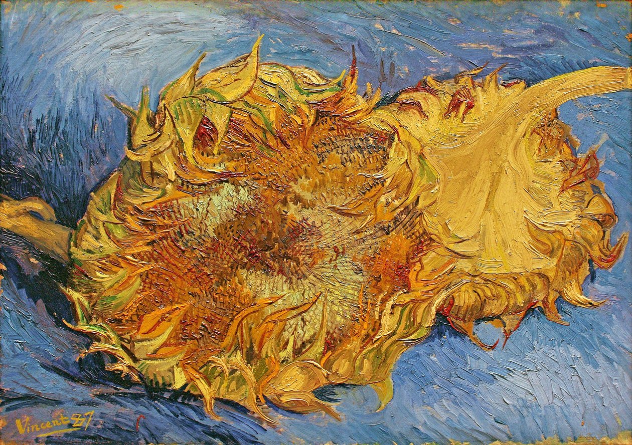 Kaksi leikattua auringonkukkaa tekijältä Vincent van Gogh