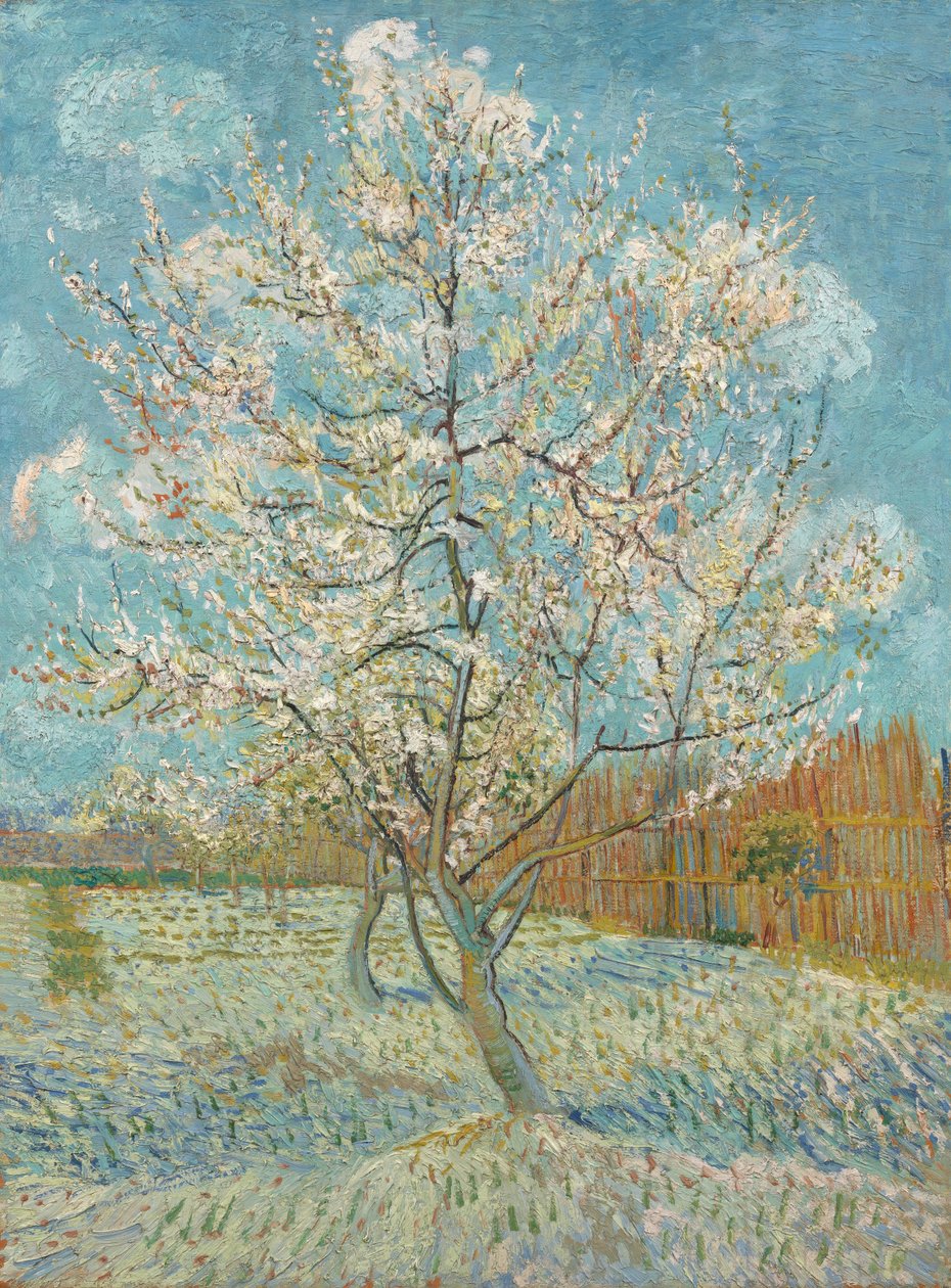 Vaaleanpunainen persikkapuu, 1888 tekijältä Vincent van Gogh