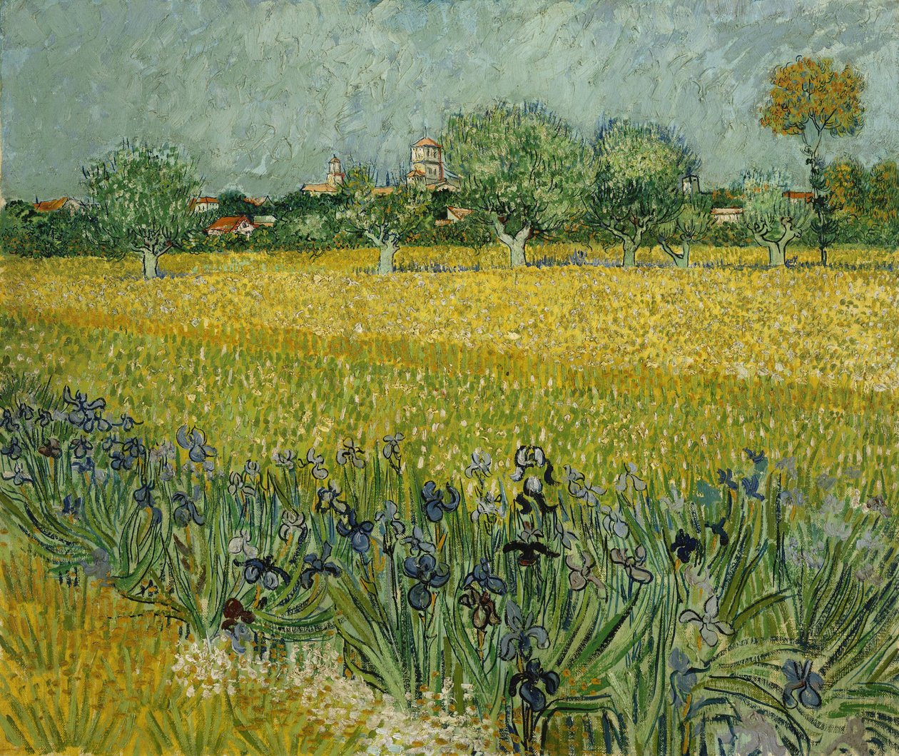Kukkakenttä lähellä Arlesia tekijältä Vincent van Gogh