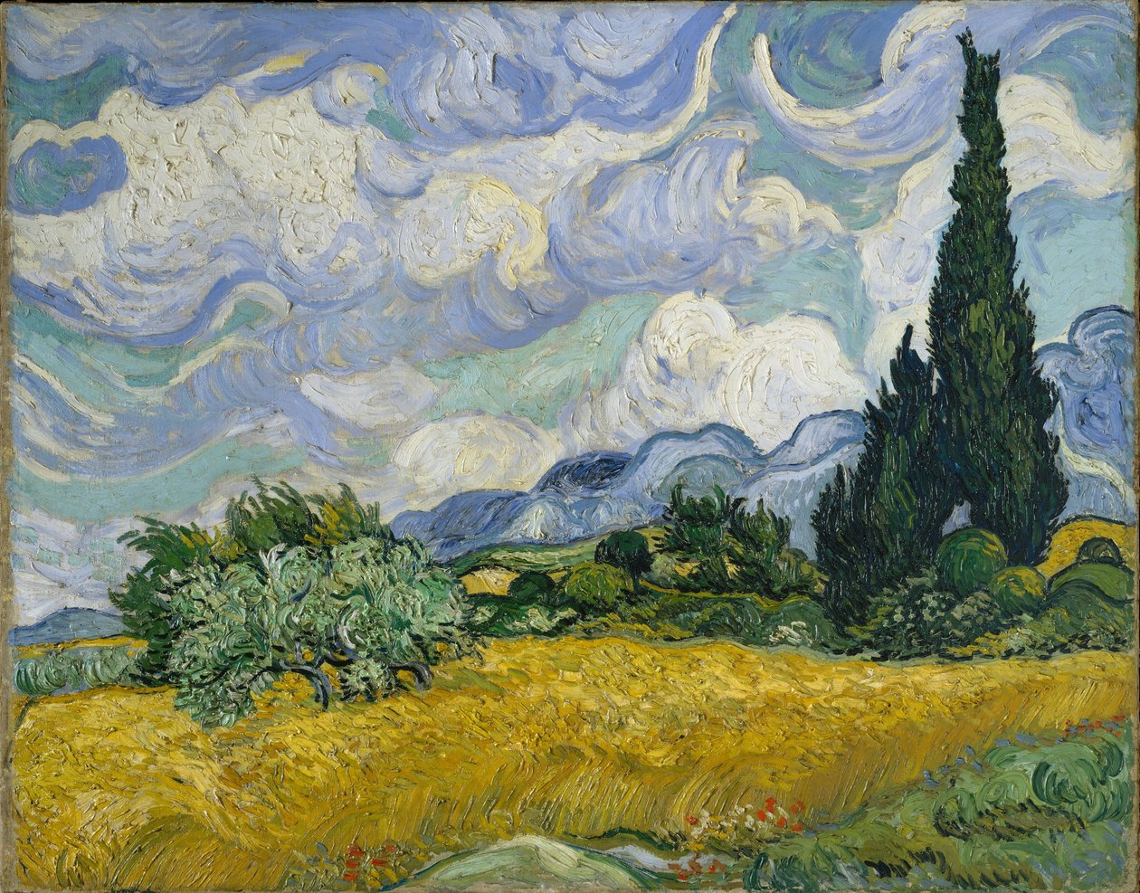 Vehnäpellolla sypressit tekijältä Vincent van Gogh