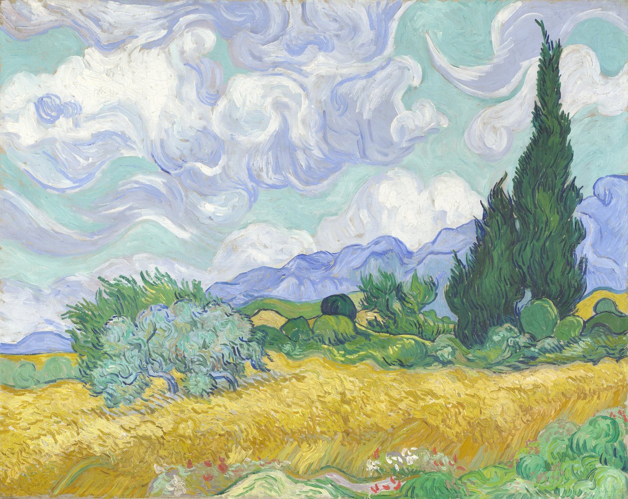 Vehnäpelto ja sypressit tekijältä Vincent van Gogh