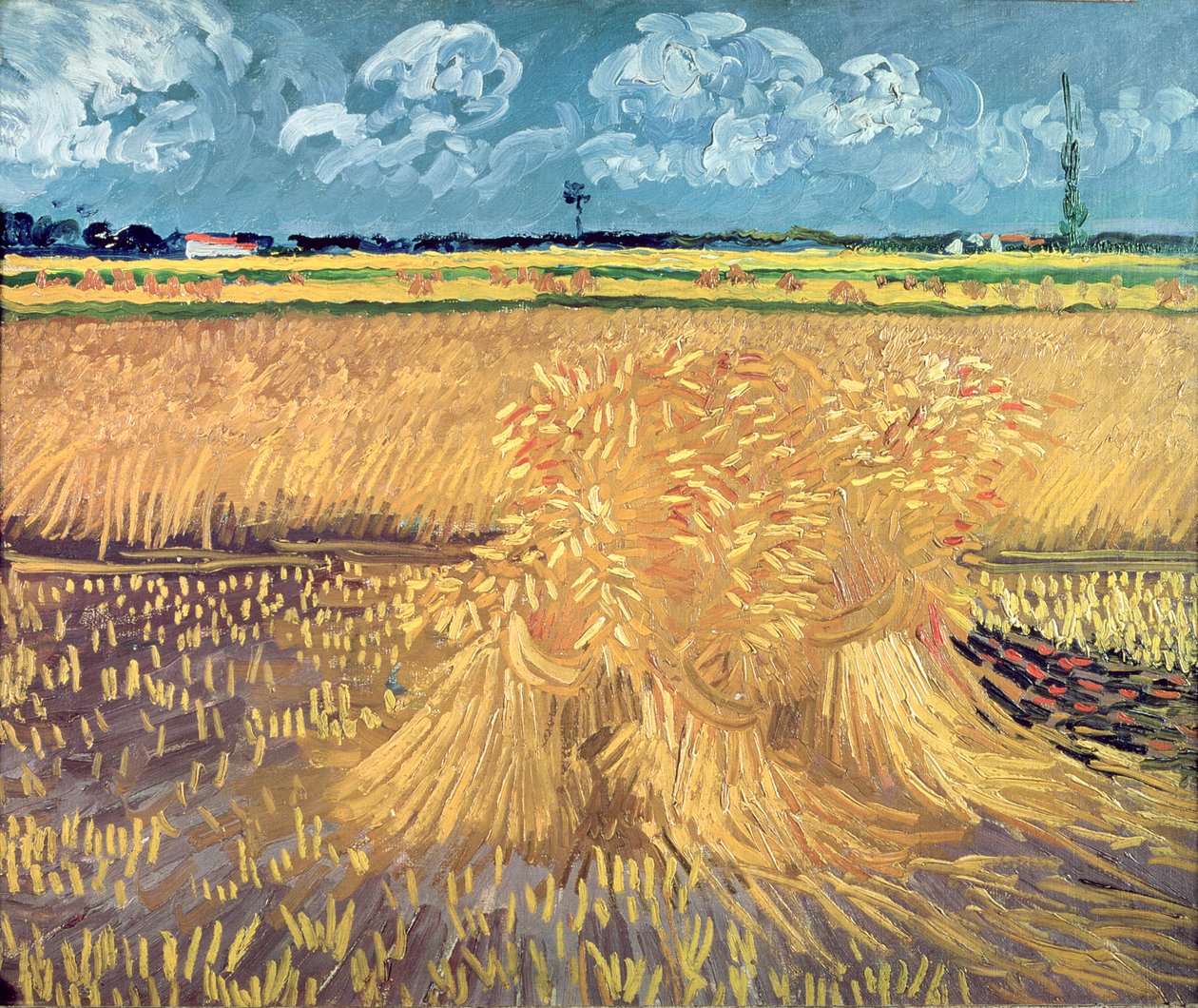 Wheatfield with Sheaves, 1888 tekijältä Vincent van Gogh