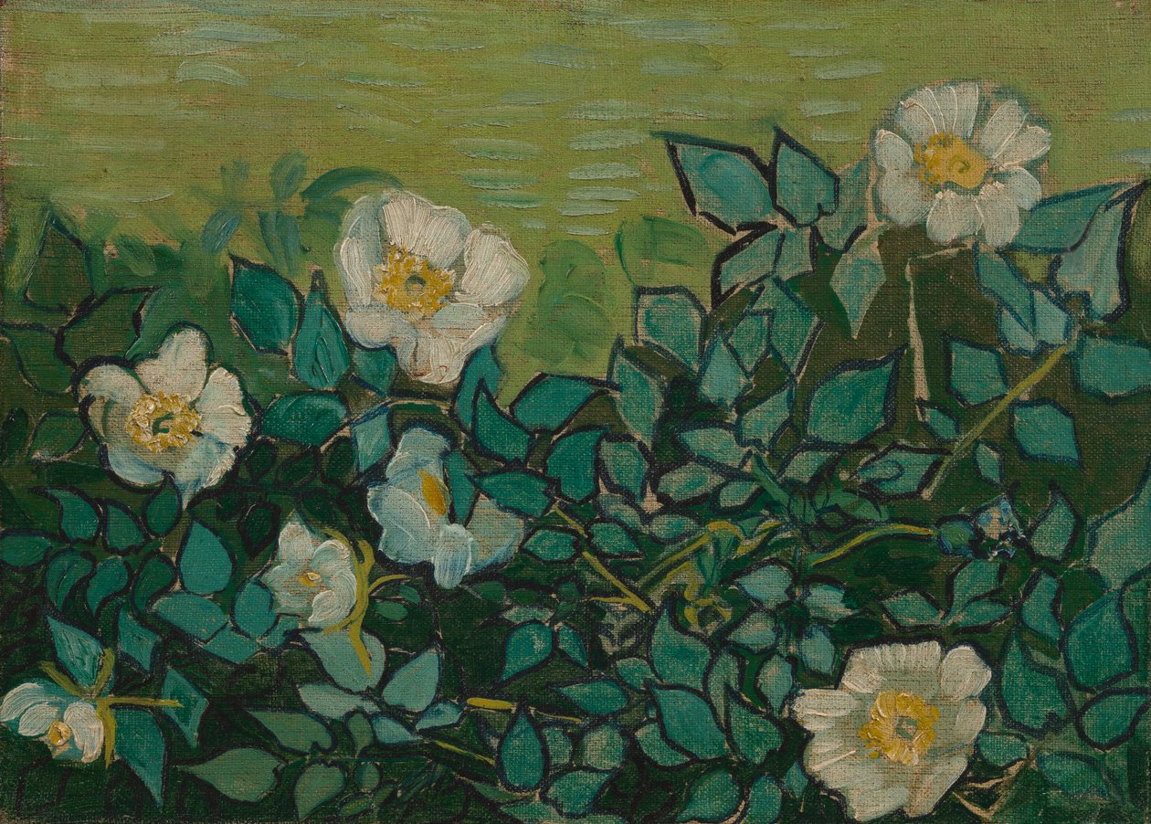 Villit ruusut tekijältä Vincent van Gogh