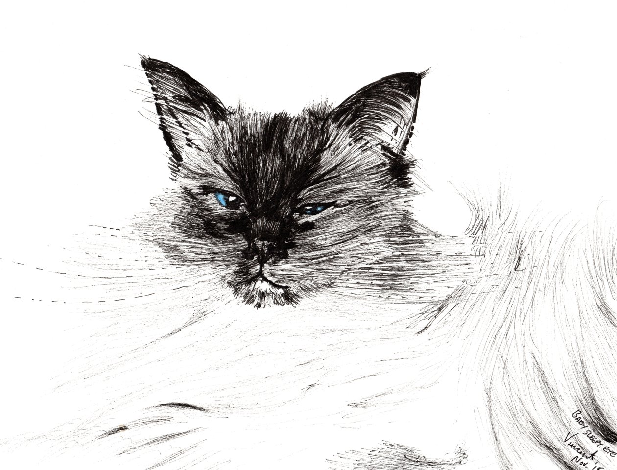 Sleepy eye, 2015, (muste paperille) tekijältä Vincent Alexander Booth