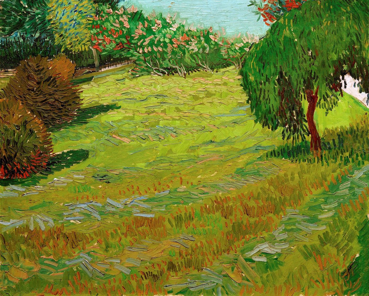 Puutarha ja itkevä paju, 1888. tekijältä Vincent van Gogh