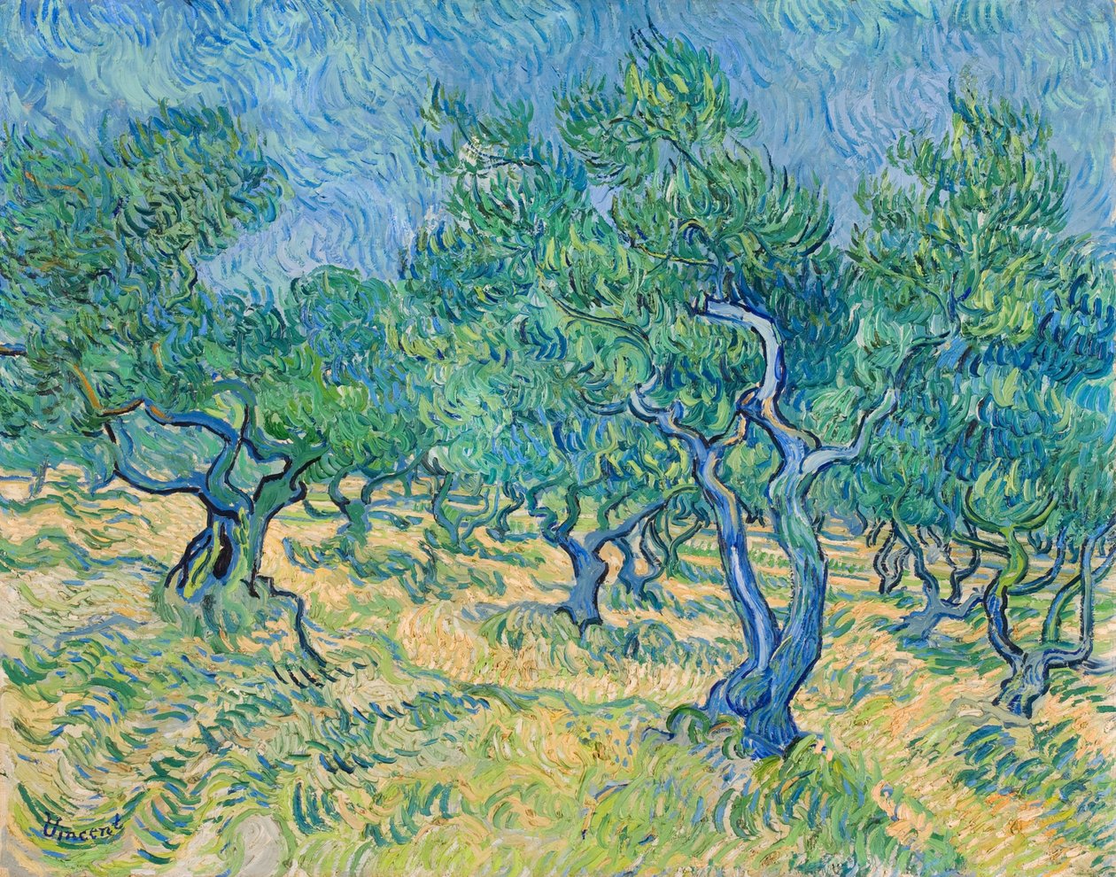 Oliivitarha, 1889. tekijältä Vincent van Gogh