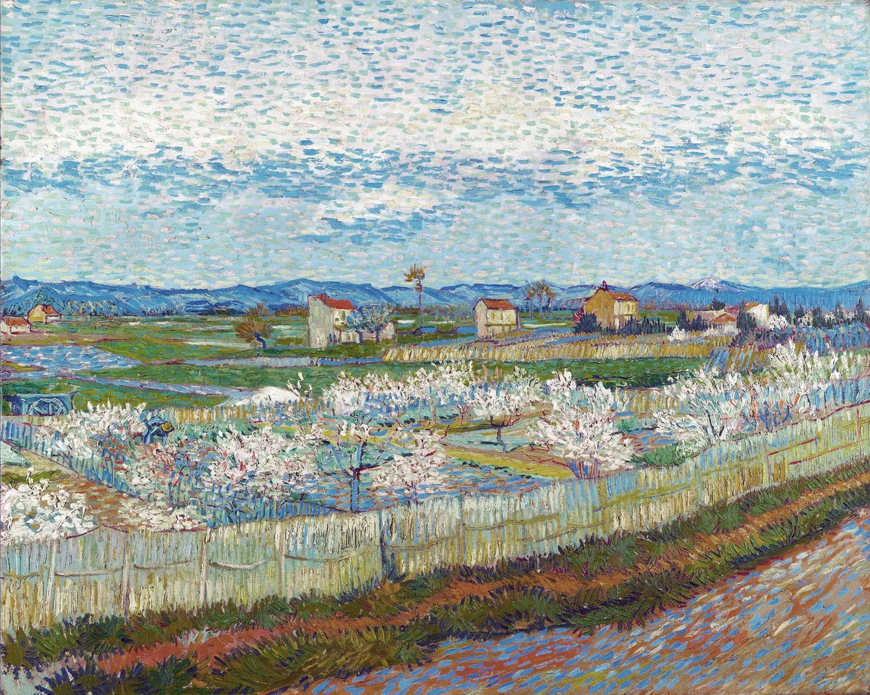 Peach Trees in Blossom, 1889. tekijältä Vincent van Gogh