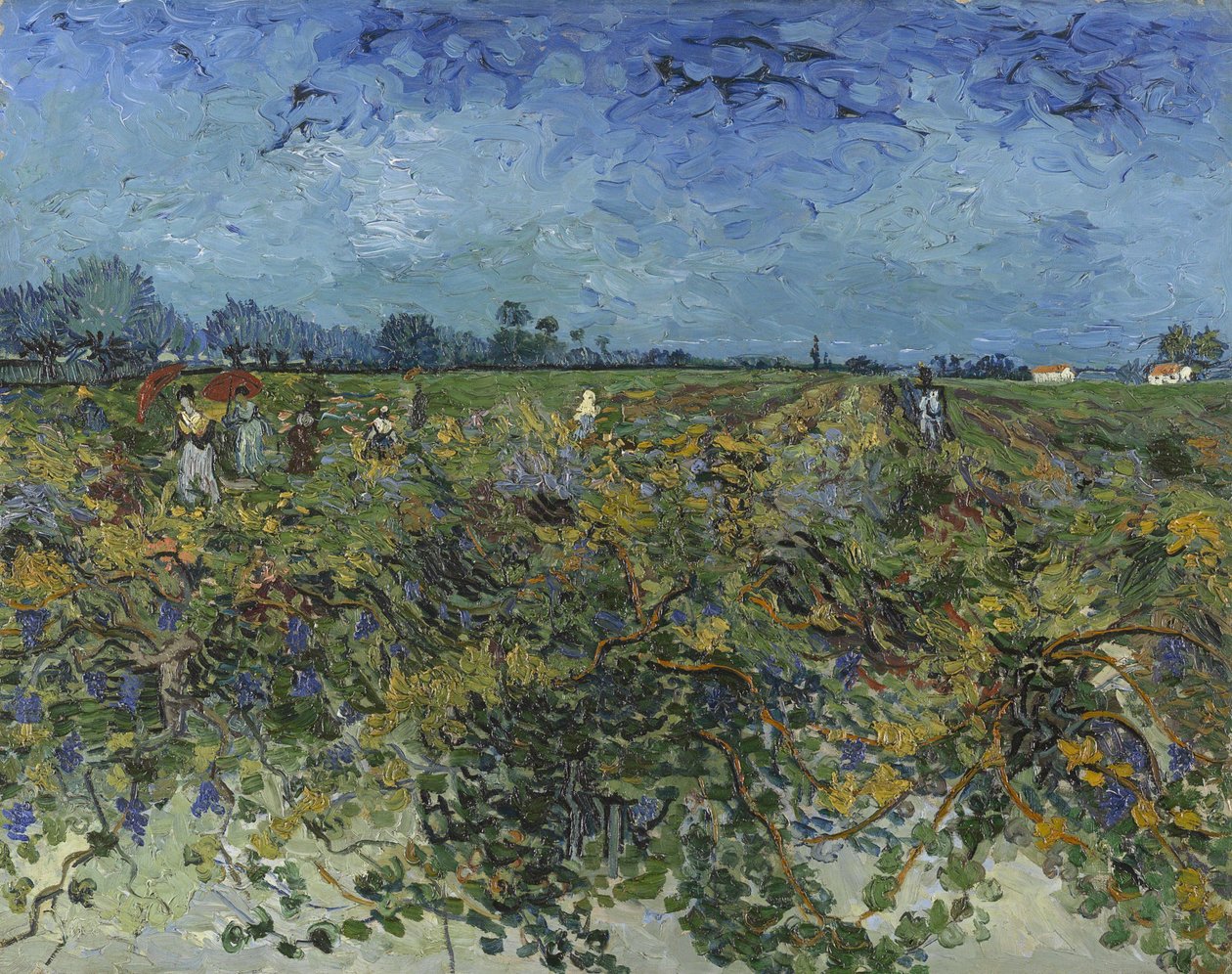 Vihreä viinitarha, 1888. tekijältä Vincent van Gogh