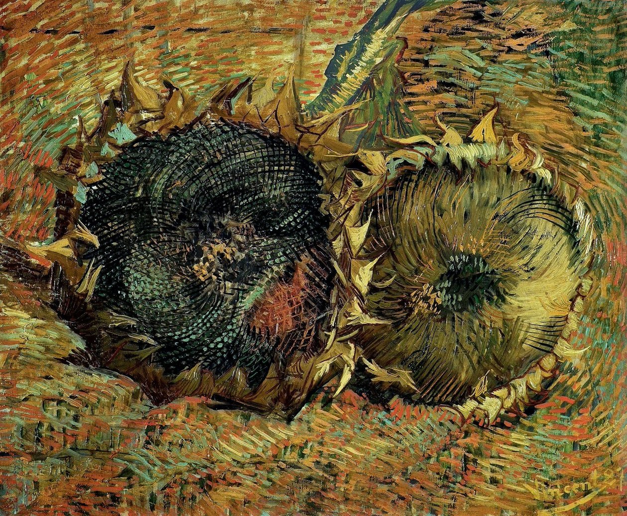 Kaksi leikattua auringonkukkaa, 1887. tekijältä Vincent van Gogh