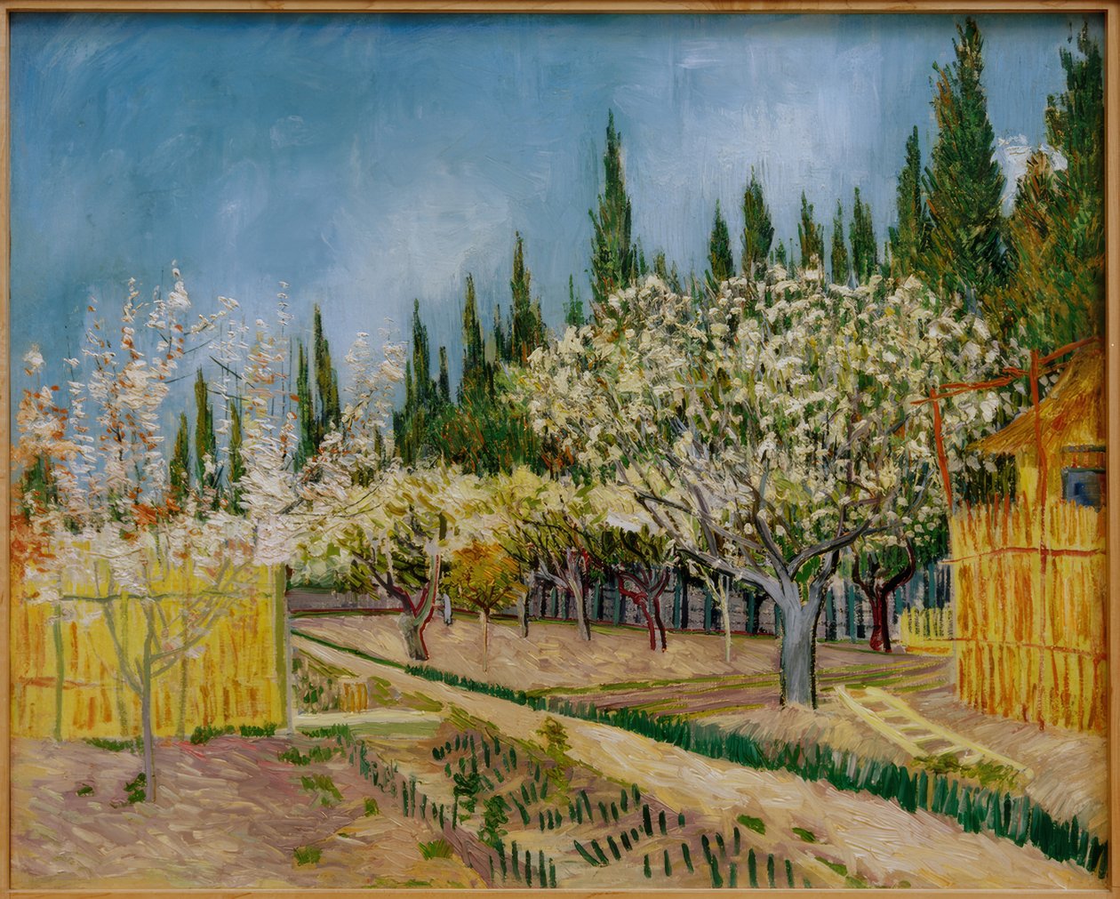 Blühender Obstgarten, von Zypressen umgeben tekijältä Vincent van Gogh