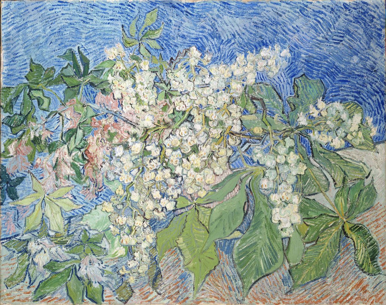Kastanjapuiden oksat kukkivat, 1890. tekijältä Vincent van Gogh