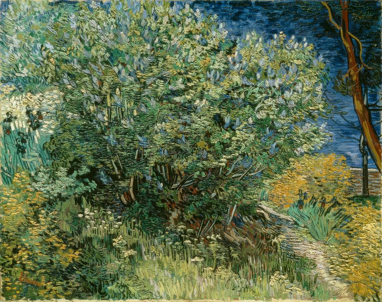 Lilapensas tekijältä Vincent van Gogh
