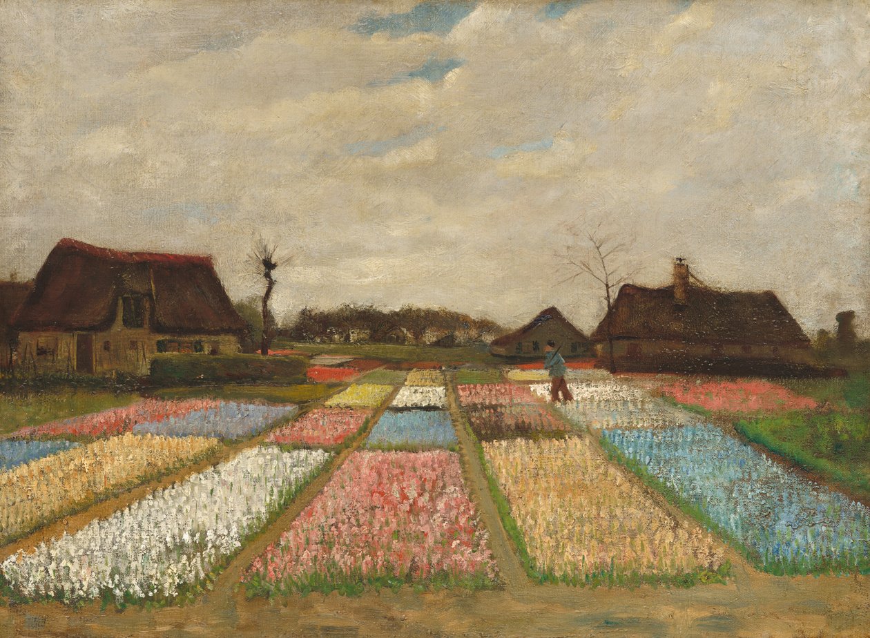 Kukkapenkit Hollannissa, n. 1883. tekijältä Vincent van Gogh