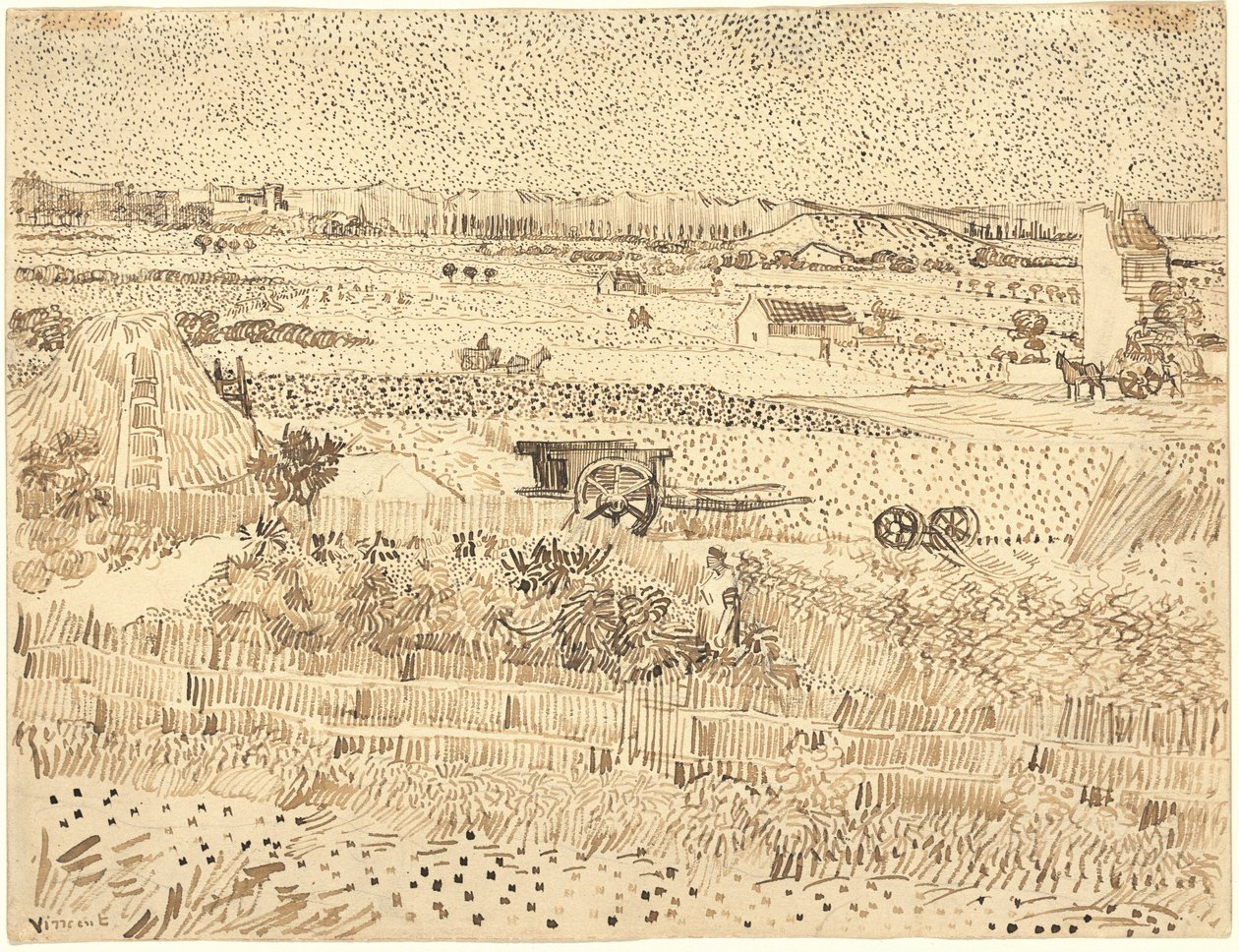 Sadonkorjuu - La Craun tasango tekijältä Vincent van Gogh