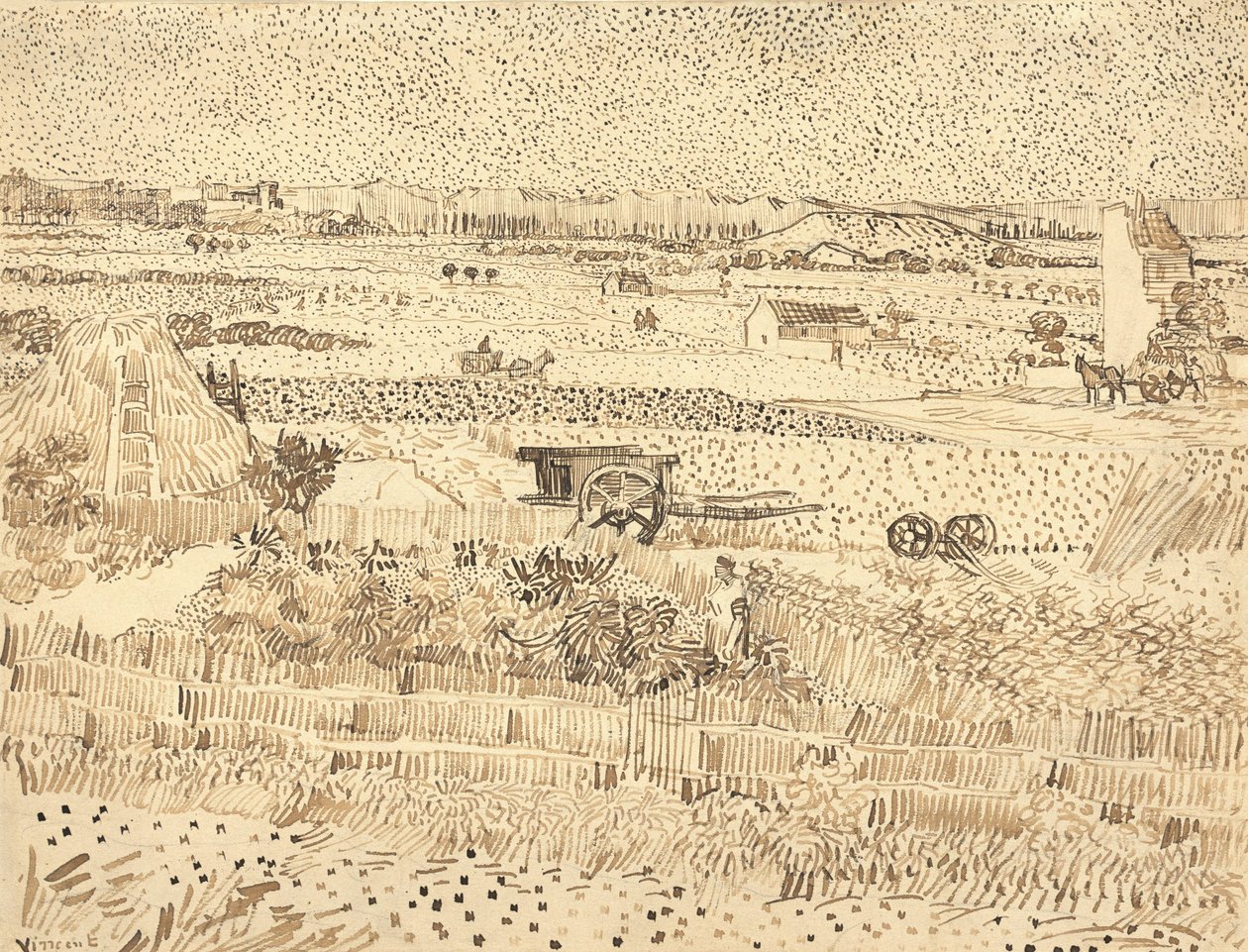 Sadonkorjuu - La Craun tasango, 1888. tekijältä Vincent van Gogh