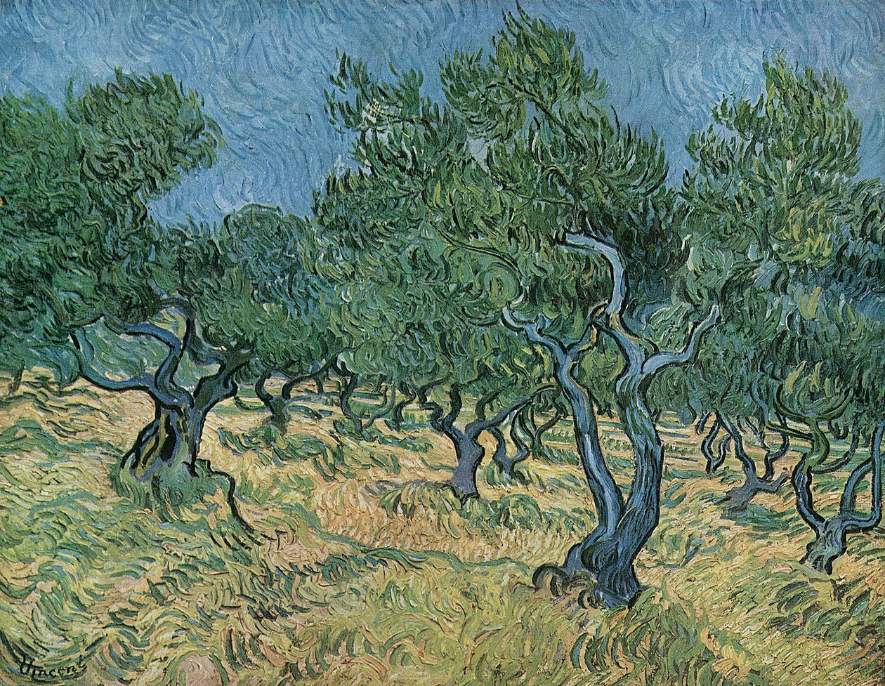 Olive Grove tekijältä Vincent van Gogh