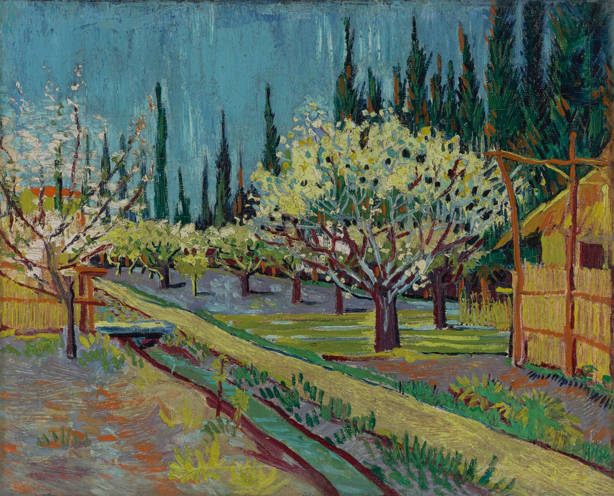 Sypressien reunustama hedelmätarha tekijältä Vincent van Gogh