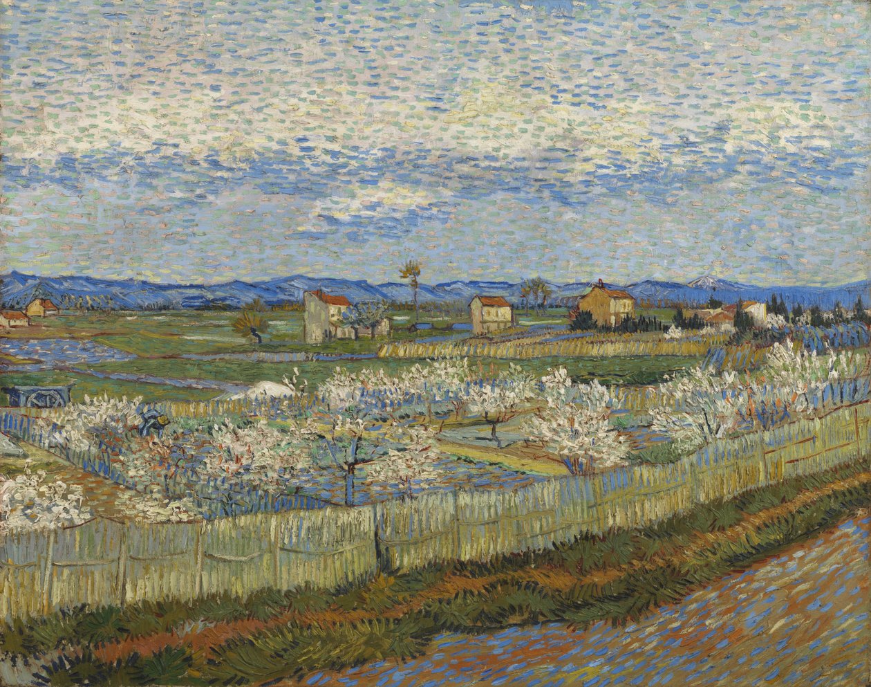 Peach Trees in Blossom, 1889 tekijältä Vincent van Gogh