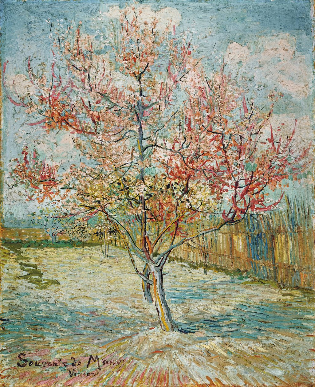 Vaaleanpunaiset persikkapuut (Souvenir de Mauve) tekijältä Vincent van Gogh