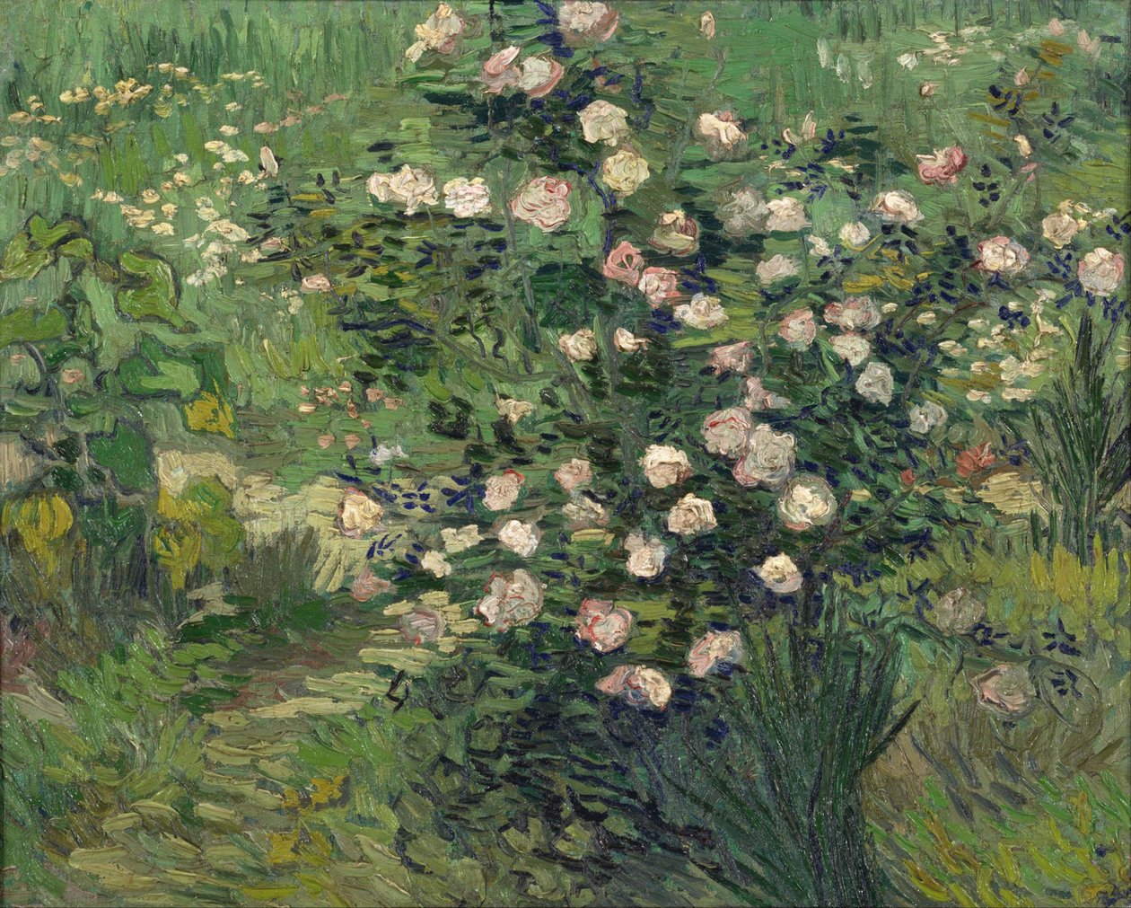 Ruusut, 1889 tekijältä Vincent van Gogh