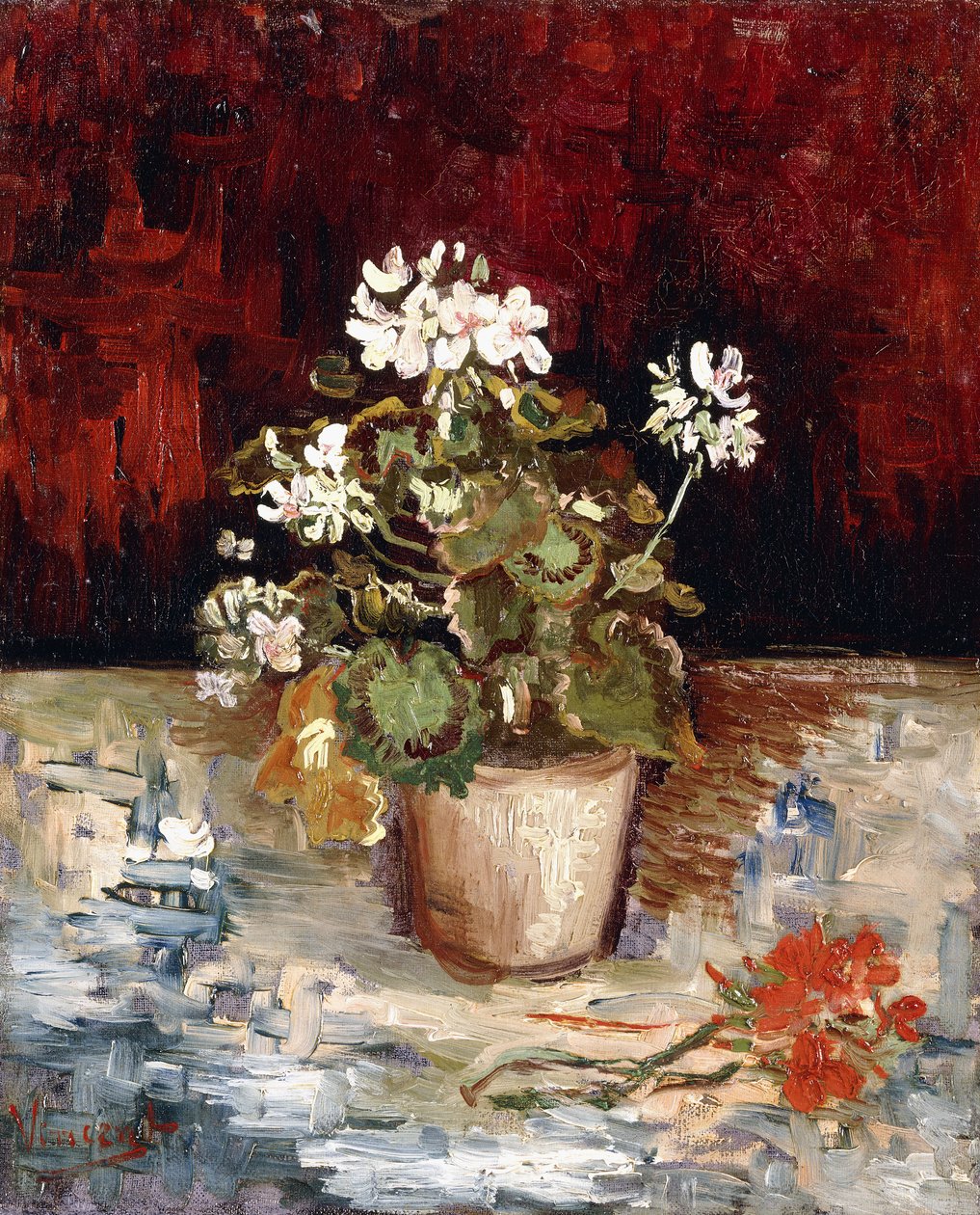 Pelargoniumien asetelma, 1886 tekijältä Vincent van Gogh