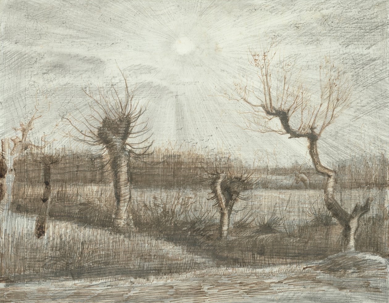 Tetards tekijältä Vincent van Gogh