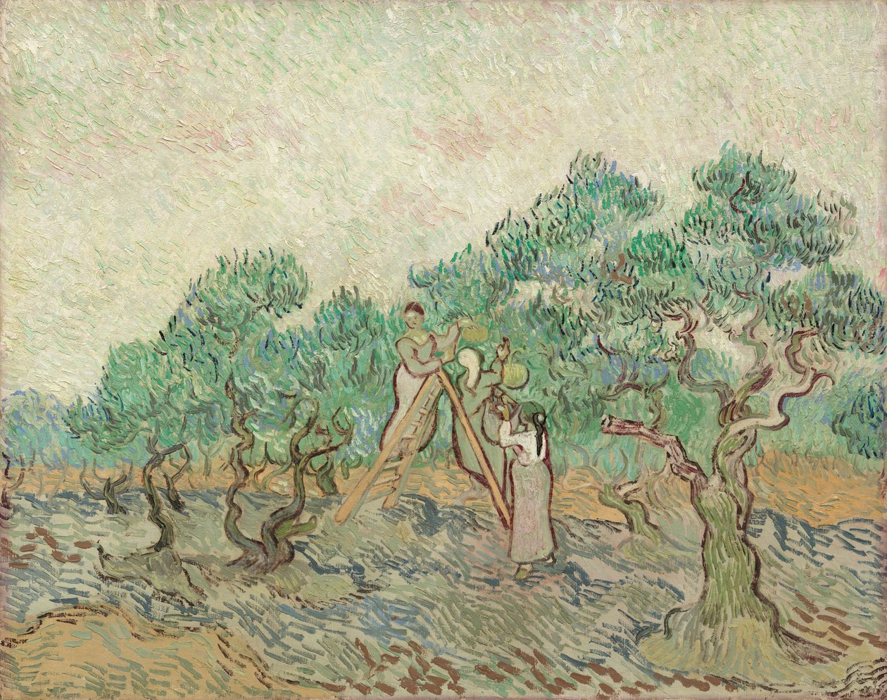 Oliivitarha, 1889. tekijältä Vincent van Gogh