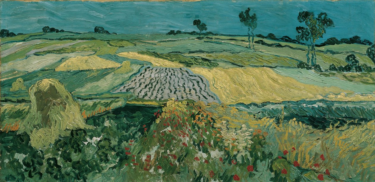 Auversin tasango, 1890 tekijältä Vincent van Gogh